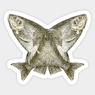 carp fishing holidays Sticker